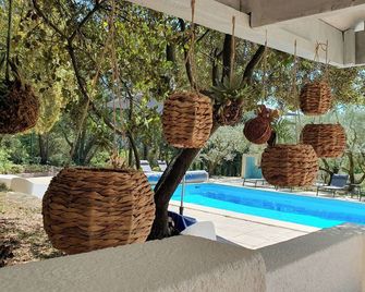 Mas 4 Heated Swimming Pool-Pétanque Court-Air Conditioning-Fenced Garden 6000 M - Cadenet - Pool