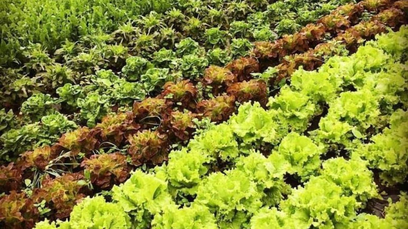 Casa Rural Aristondo Agroturismo