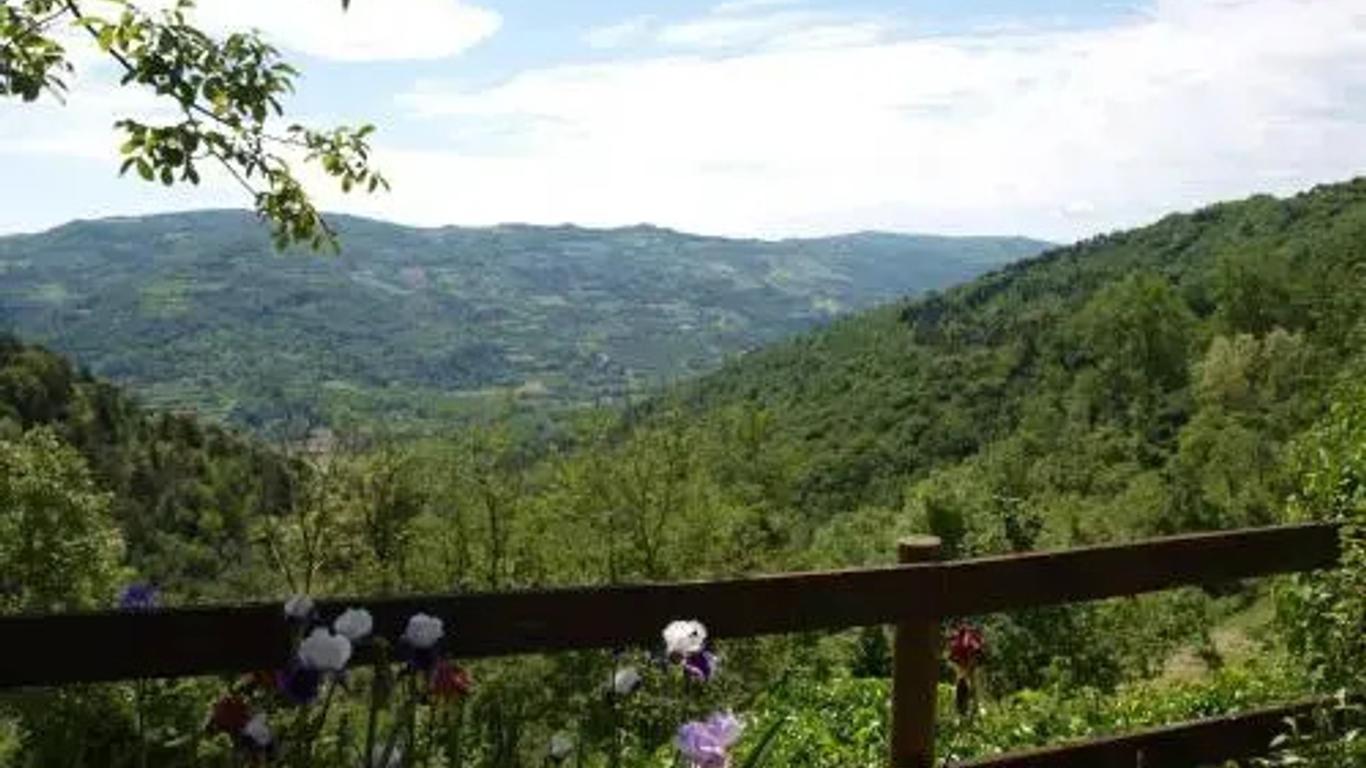 Agriturismo La Collina degli Scoiattoli