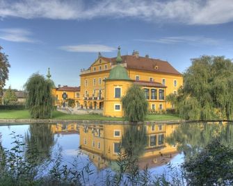 Castle, large park with pool, tennis court, horses, near Vienna and Wach wine re - St. Pölten - Gebäude