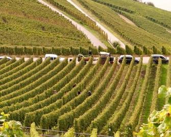 Family-friendly apartments - Piesport by the Moselle - Central location - Piesport - Outdoors view