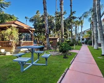 Hiltop Hotel - Bakersfield - Terasa
