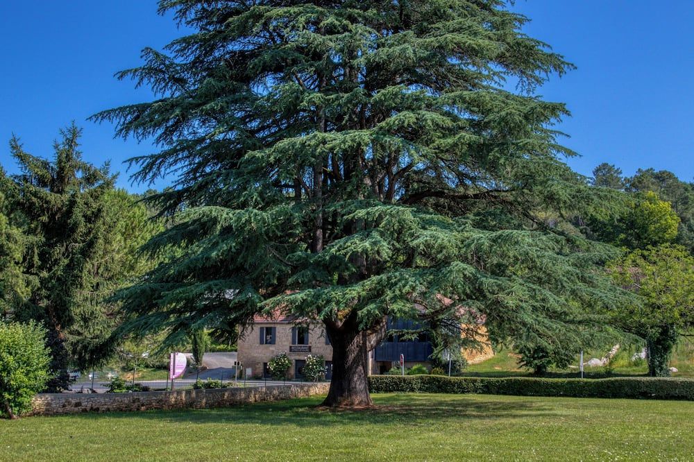 Fasthotel Sarlat - Abbys Hotel - Carsac-Aillac - Vista del exterior