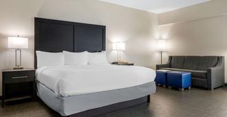 Comfort Inn and Suites Greer - Greenville - Greer - Habitación