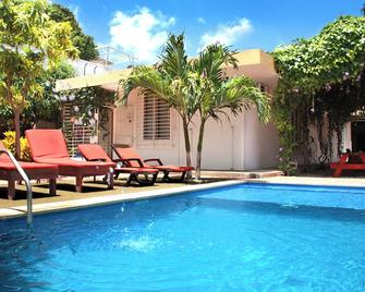 Cacao Hostel Santa Marta - Santa Marta - Kolam