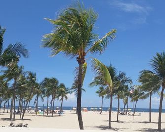 Sea Beach Plaza - ืคืืจื ืืืืจืืืื - ืืืฃ