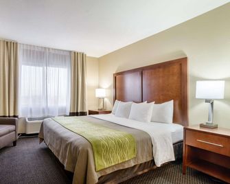 Comfort Inn Garden City - Garden City - Sovrum