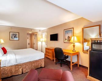 硫磺島貝斯特韋斯特酒店 - 阿靈頓 - 阿靈頓 - 臥室