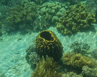 Eagles Nest Beach Resort - Dávao