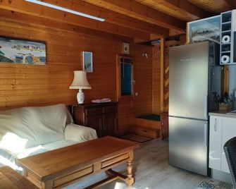 T3 chalet in quiet leisure park with swimming pools - La Teste-de-Buch - Salon