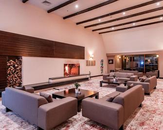 Hotel Monte Baia - Bursa - Lounge
