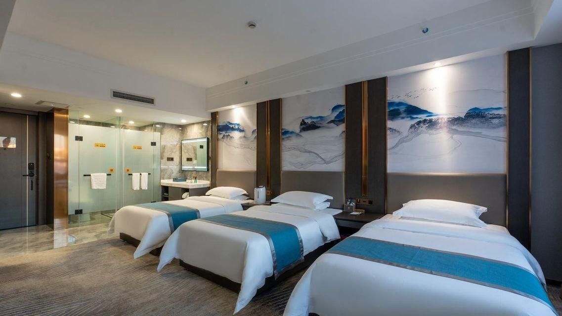 Dingfu Hotel (Urumqi Diwobao International Airport) - Ürümqi - Habitación