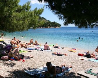 One bedroom apartment near beach Zaostrog, Makarska (A-2816-d) - Zaostrog - Beach