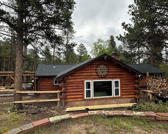 Beautiful Year Round - Creekside Cabin - Near Rmnp - Dog Friendly - Allenspark - Building