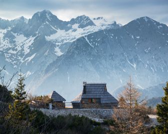Koca Ojstrica - Velika planina - Stahovica