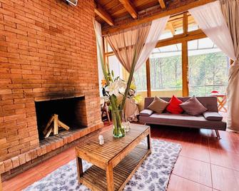 Encino House Hotel Boutique - Valle de Bravo - Living room