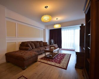 Apartment Stefan - 布拉索夫 - 客廳