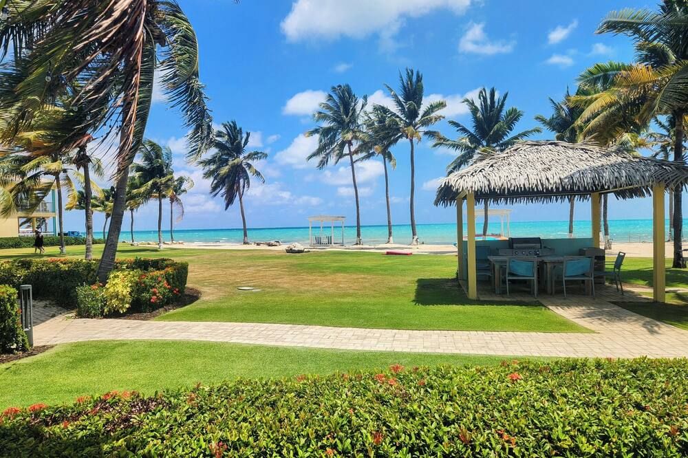 Carribean Dream! 3 Island View Units, Oceanfront, Minutes to Seven Mile Beach! - West Bay - Plage