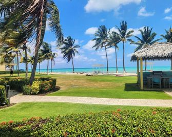Carribean Dream! 3 Island View Units, Oceanfront, Minutes to Seven Mile Beach! - West Bay - Plage