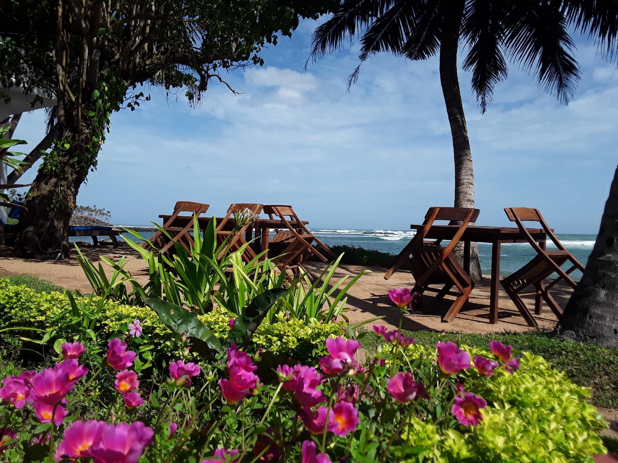 Palm Villa Mirissa - Mirissa - מסעדה