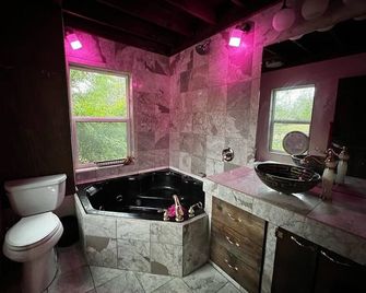 Loveshack, a charming tiny house on a 5 acre farm - Charlottesville - Kitchen