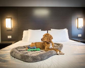 Envi Boutique Hotel - Henderson - Slaapkamer