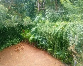 Velapura River Garden - Kalutara - Outdoors view