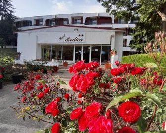 Hotel Rodica - Venus - Vista esterna
