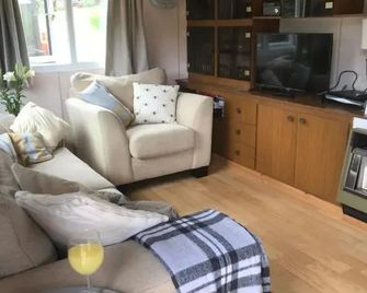 The Garden Shed 1 - Builth Wells - Salon