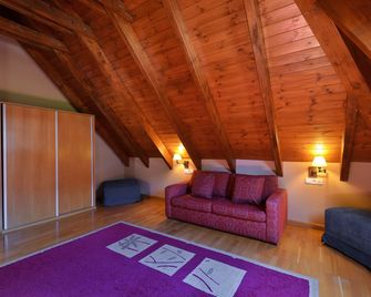 Acevi Val D`aran - Vielha - Salon