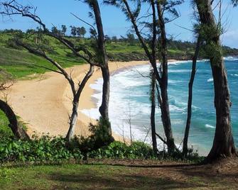 ''ease & Fun' Clean Bed & Goodnite Sleep! Disinfected. Wifi-Yes. Cold Ac. - Kapaa - Playa
