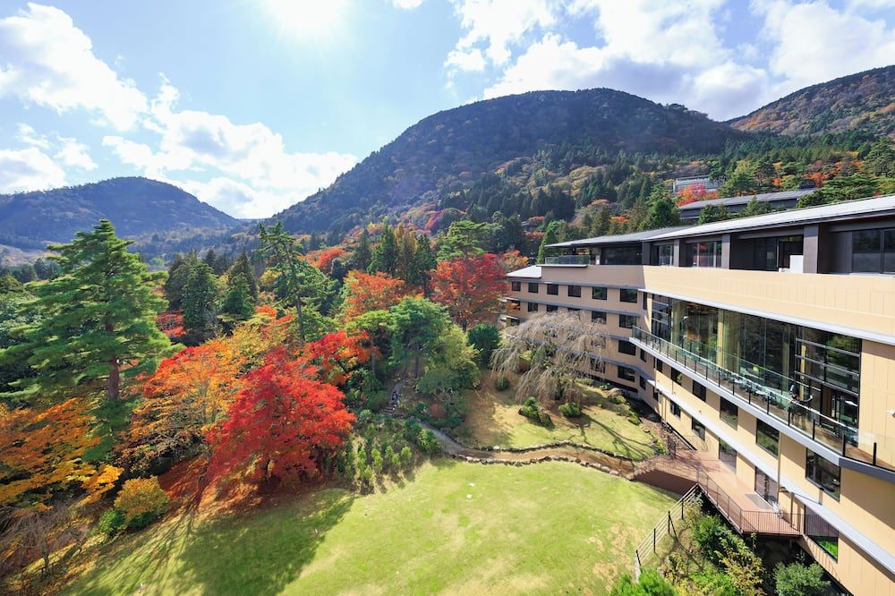 Hakone Kowakien Hotel - Hakone - Udsigt