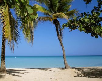 Two bedroom villa in Sheffield - near Negril - Negril - Beach
