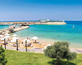 미라마르 호텔 리조트 앤드 스파 - Al Qalamoun - 해변