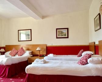 Plas Coch Hotel Ltd - Bala - Bedroom