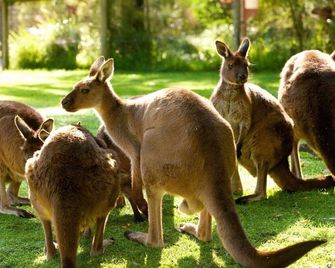 Onyx Retreat Healesville Luxury Lodge x Hot Tub - Healesville