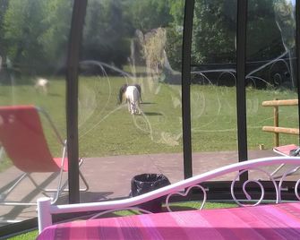 Ferme des baillards - Bélesta - Patio