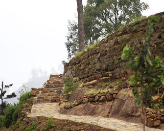 Meena Amma's Tea Experience - Ambewella - Outdoors view
