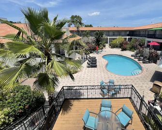 Red Roof PLUS+ & Suites Tampa - Busch Gardens - טמפה - בריכה