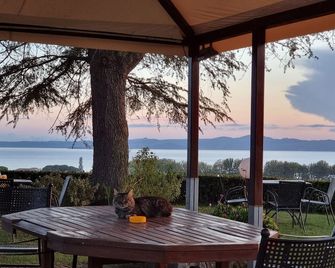 Le vigne - Bolsena - Patio
