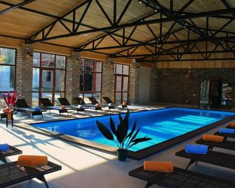 Schuchmann Wines Château,villas & Spa - Telavi - Pool