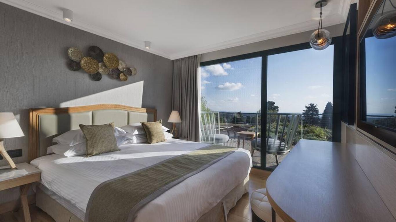 יערות הכרמל