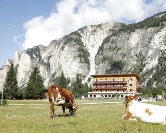 Pederü - Wengen