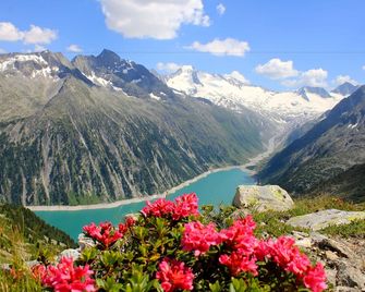 比爾肯霍夫旅館 - 邁爾霍芬 - 馬里羅芬 - 室外景