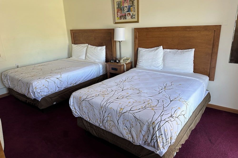 Vista Villa Motel - Ludington - Habitación
