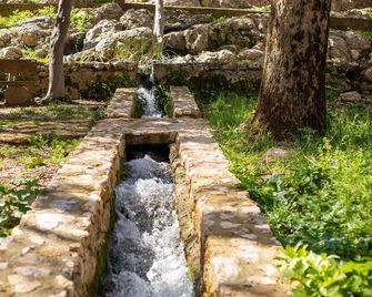 Hotel Rural El Castillejo - Cuevas del Becerro - Buiten zicht