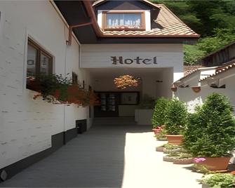Hotel Claudiu - Şighişoara - Edificio