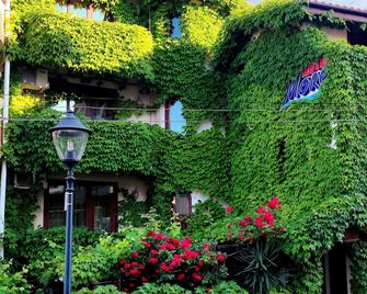 More Family Hotel - Sozopol - Vista del exterior