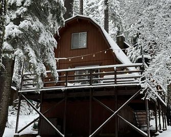 Private Lake Access! Near Pinecrest & Dodge Ridge - Great for kids and families - Mi Wuk Village - Edificio