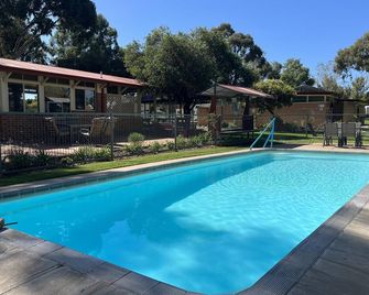 Young Caravan and Tourist Park - Young - Pool